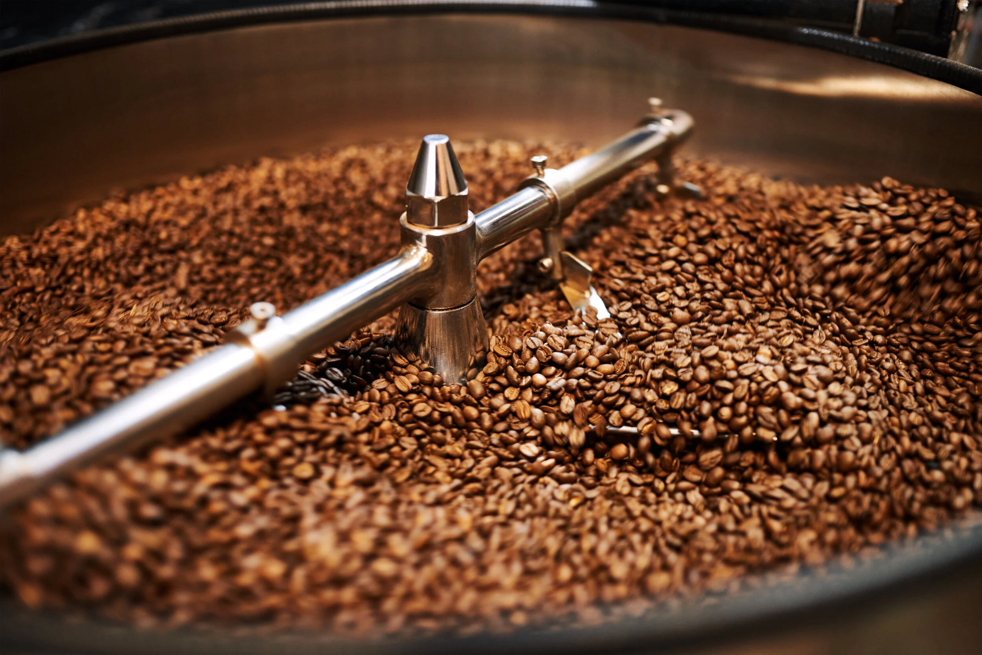 Roasted coffee beans cooling in the roasting drum